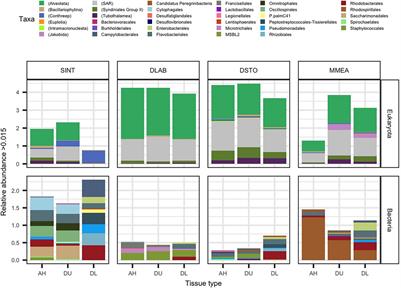 Bacterial Metabolic Potential and Micro-Eukaryotes Enriched in Stony Coral Tissue Loss Disease Lesions